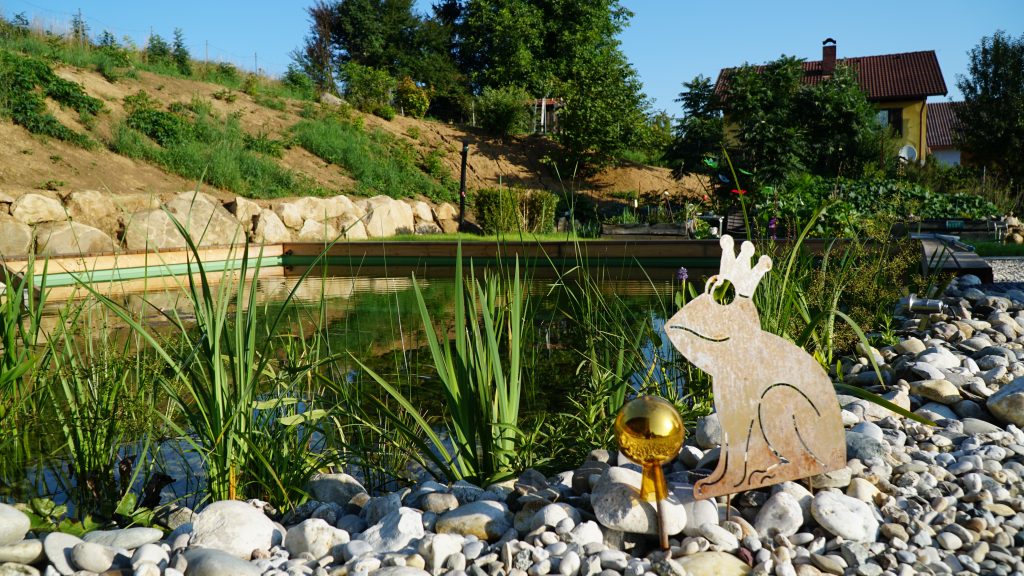 Waldviertel Ferienwohnung Garten Schwimmteich